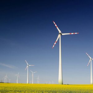 Green Purchasing (1022 LP)