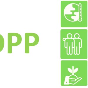 Digital Product Passport with Background Information